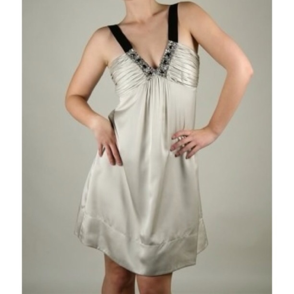 BCBG Jewel Dress Size 2